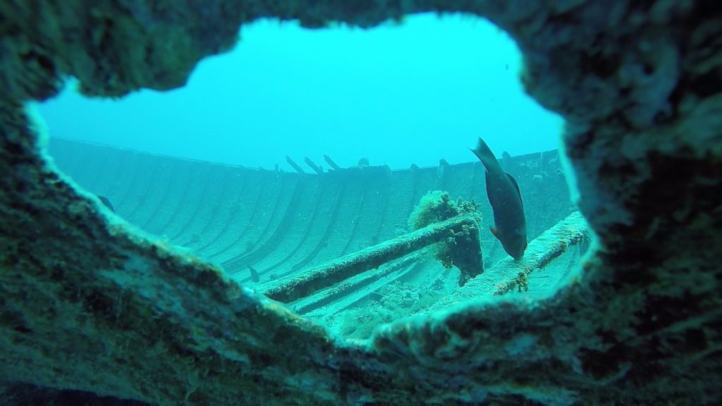 hole in wreck diving tahiti